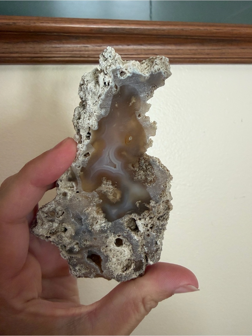 AGATIZED CORAL